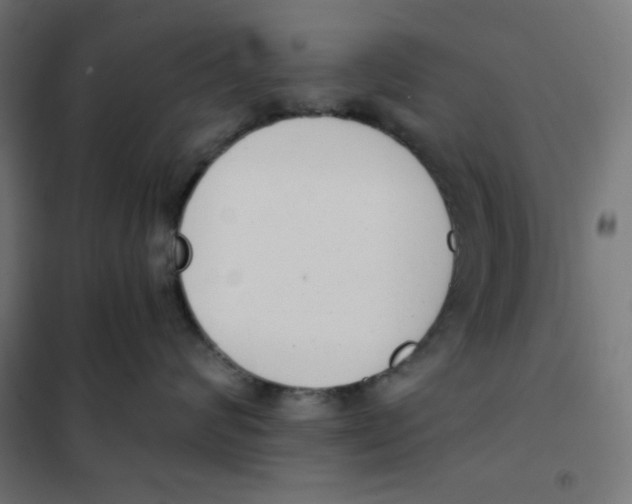 X0000101390624200807280939