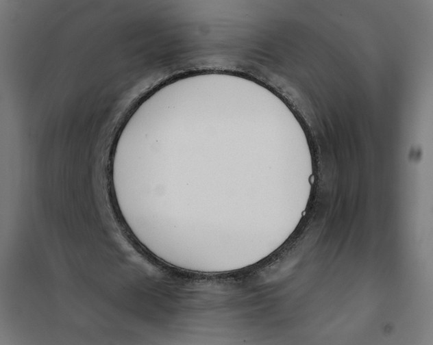 X0000101390625200807280938