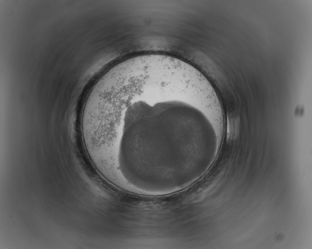 X0000101390627200807280938