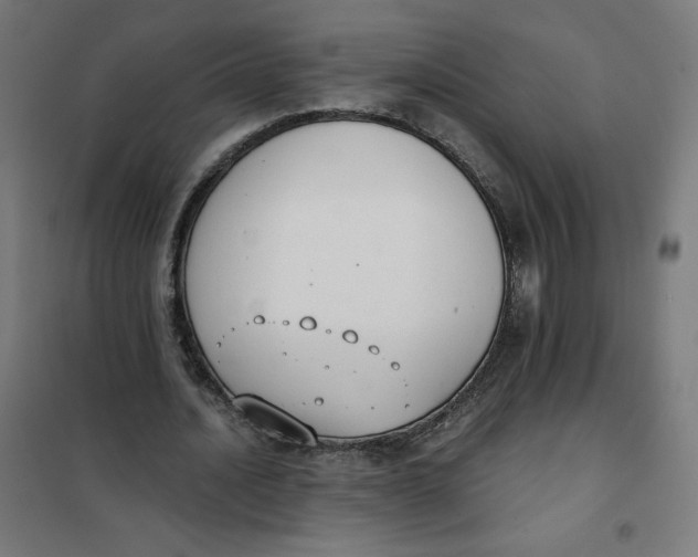X0000101390628200807280938