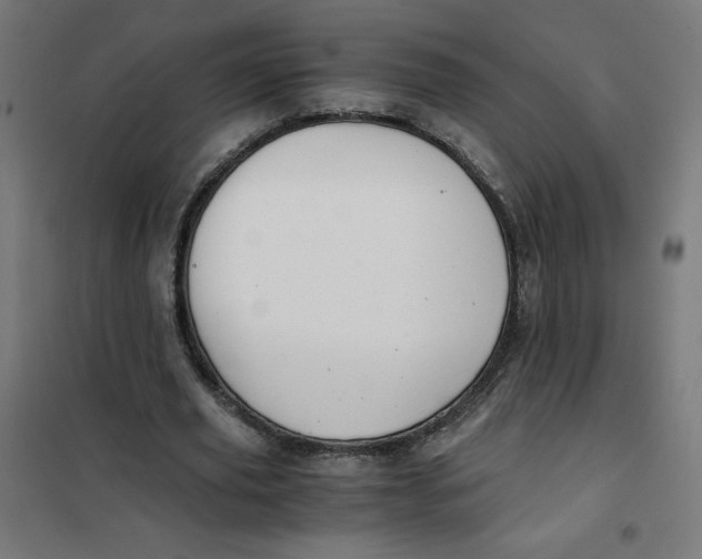 X0000101390629200807280938