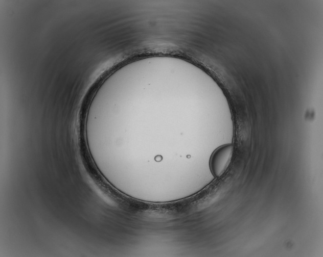 X0000101390630200807280938