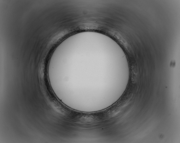 X0000101390631200807280938