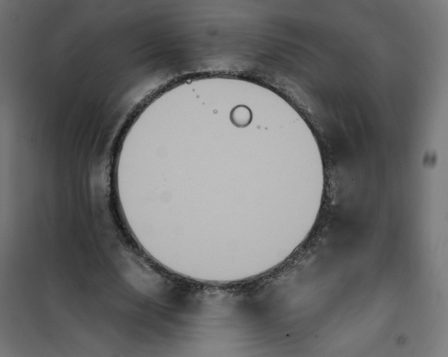 X0000101390632200807280938