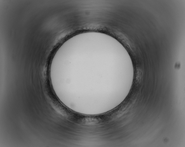 X0000101390636200807280938
