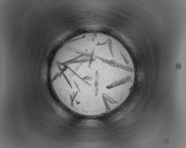 X0000101390637200807280939
