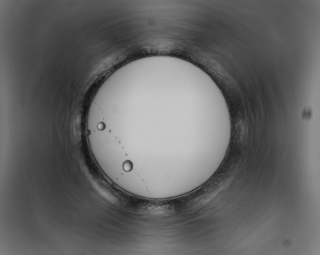 X0000101390638200807280939