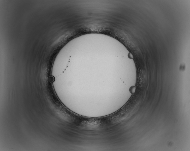 X0000101390639200807280939