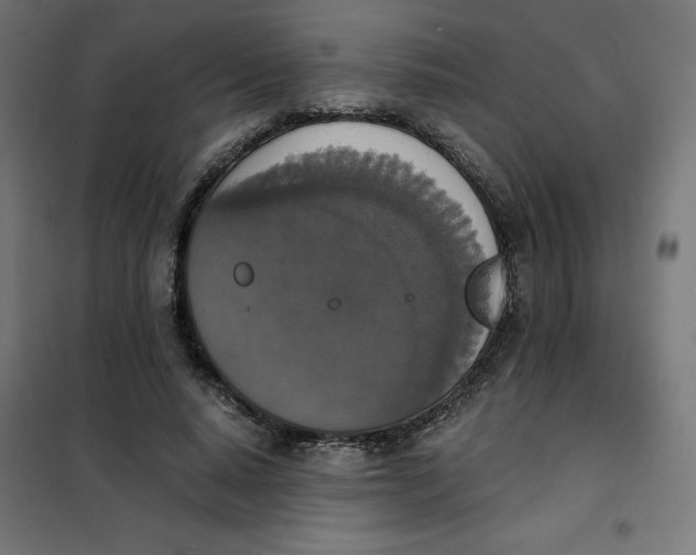X0000101390640200807280939