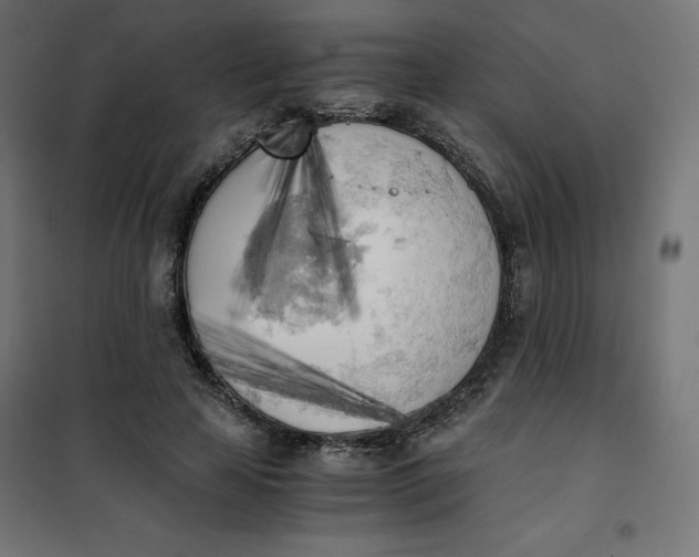 X0000101390641200807280939