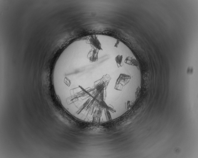 X0000101390642200807280939