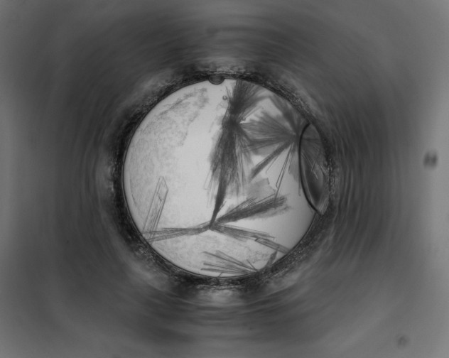 X0000101390643200807280939