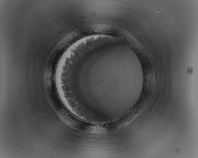 X0000101390644200807280939