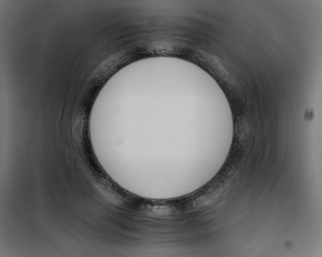 X0000101390645200807280939