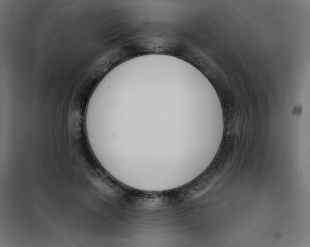 X0000101390646200807280939