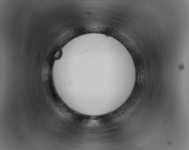 X0000101390647200807280939