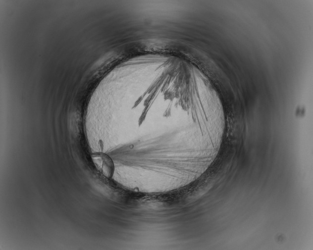 X0000101390648200807280939