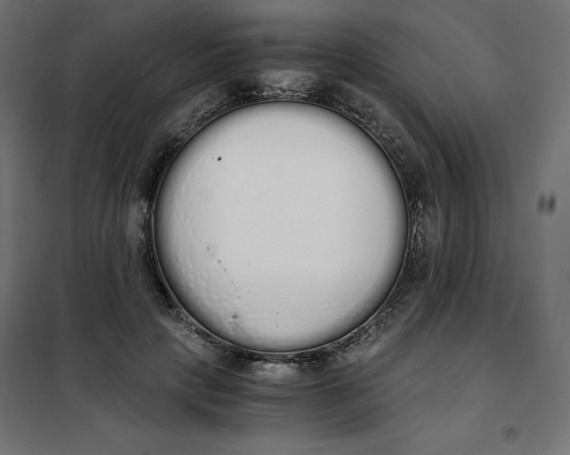 X0000101390649200807280939