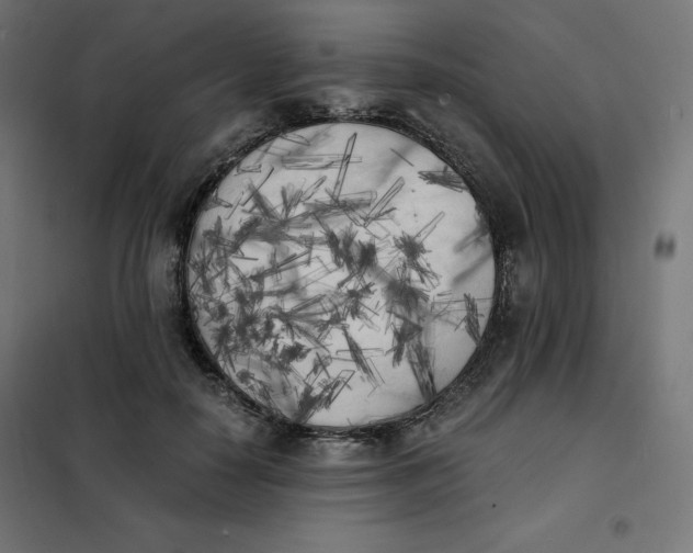 X0000101390650200807280939