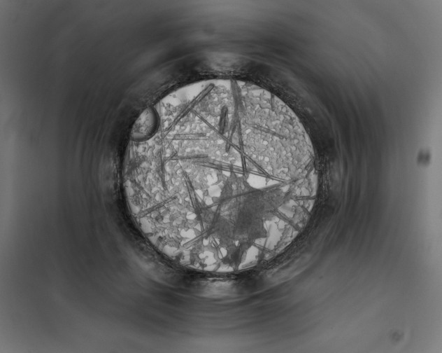 X0000101390651200807280939