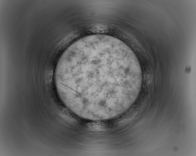 X0000101390652200807280939