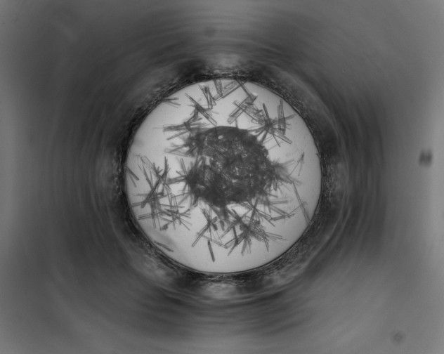 X0000101390653200807280939