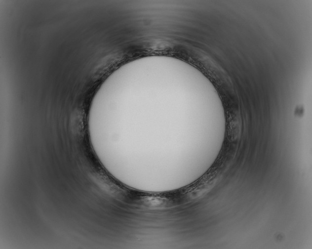 X0000101390654200807280939