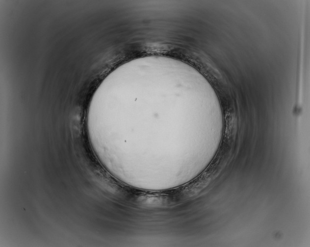 X0000101390655200807280939