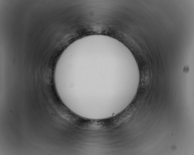 X0000101390656200807280939