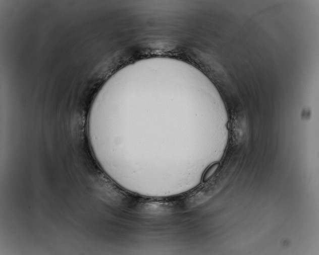 X0000101390657200807280939