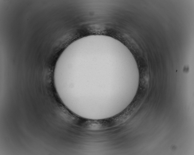 X0000101390658200807280939
