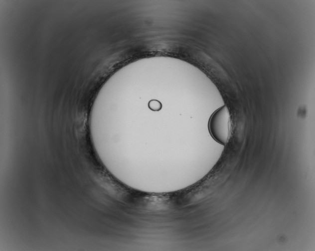 X0000101390660200807280939