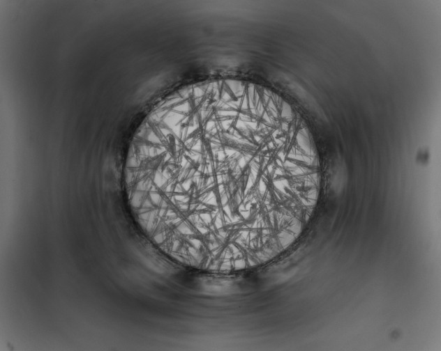 X0000101390661200807280939