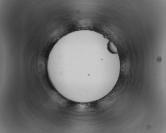 X0000101390662200807280939