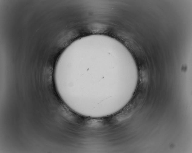 X0000101390664200807280939