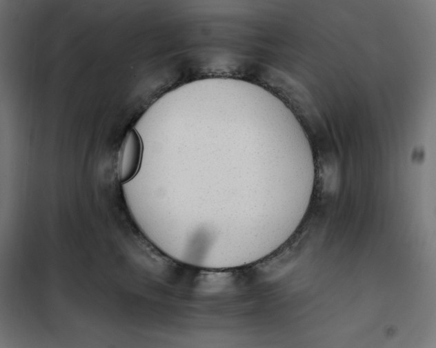 X0000101390665200807280939