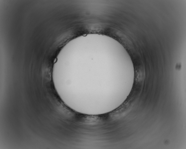 X0000101390666200807280939