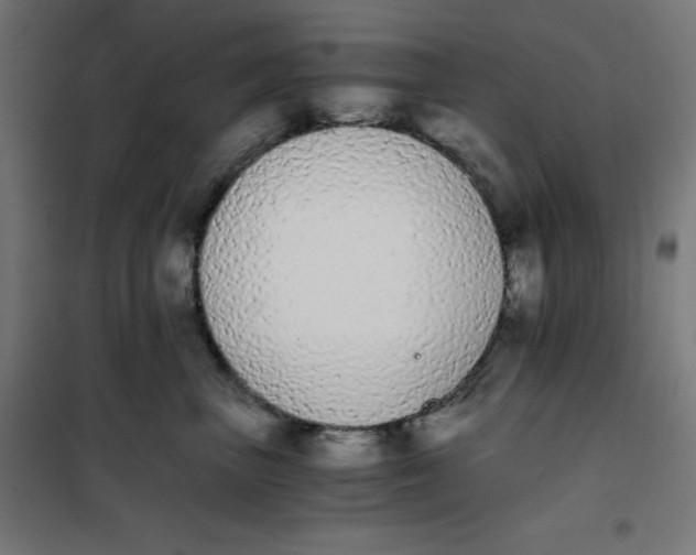 X0000101390667200807280939