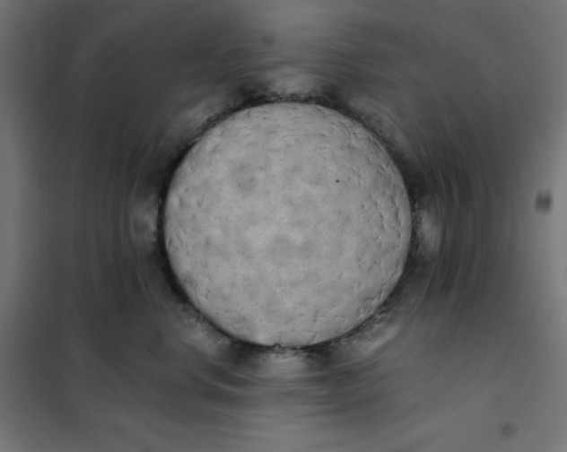 X0000101390668200807280939