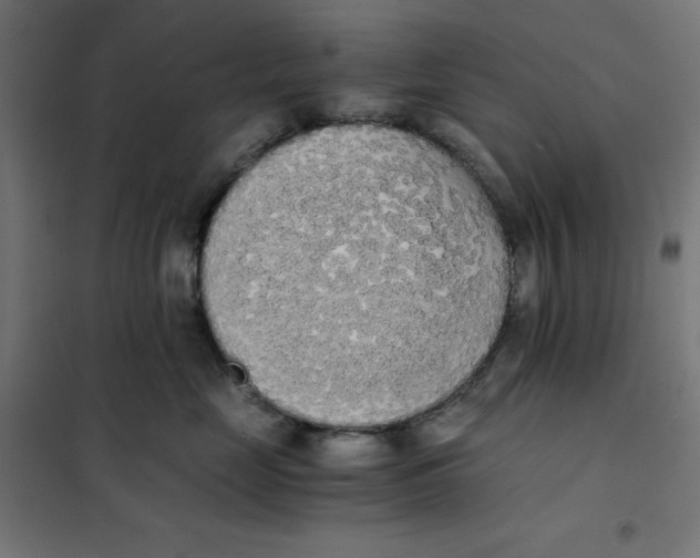 X0000101390669200807280939