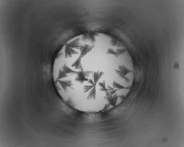 X0000101390670200807280939