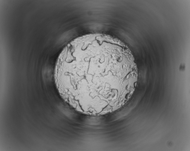 X0000101390671200807280939