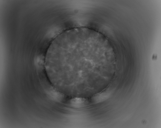 X0000101390672200807280939
