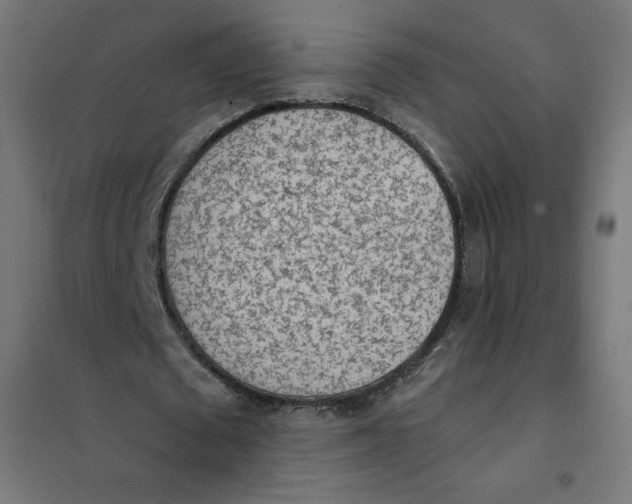 X0000101390673200807280938