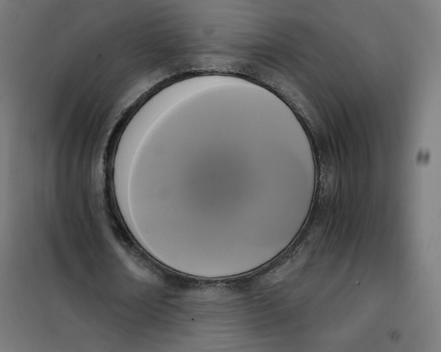 X0000101390674200807280938