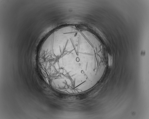 X0000101390675200807280938