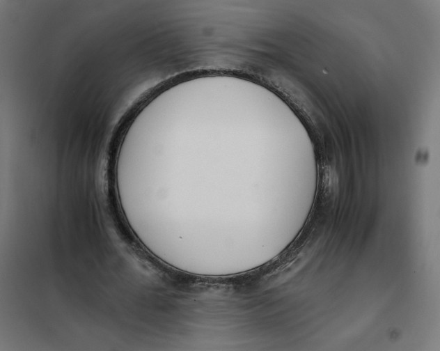 X0000101390676200807280938