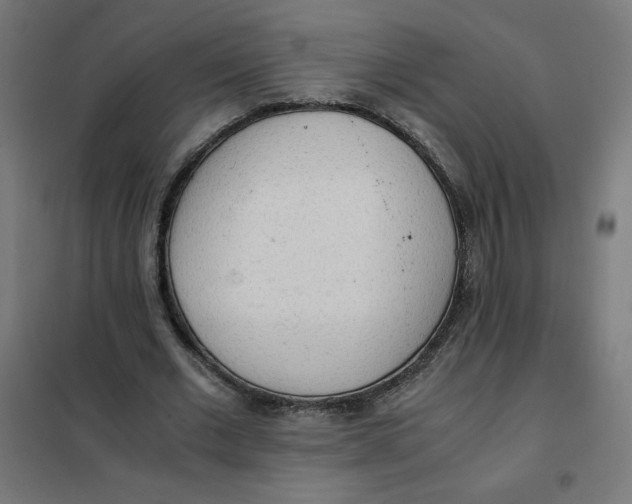 X0000101390677200807280938