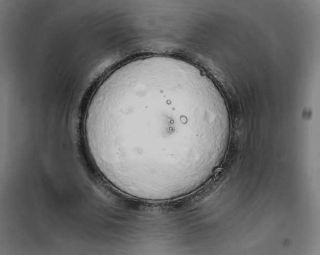 X0000101390679200807280938