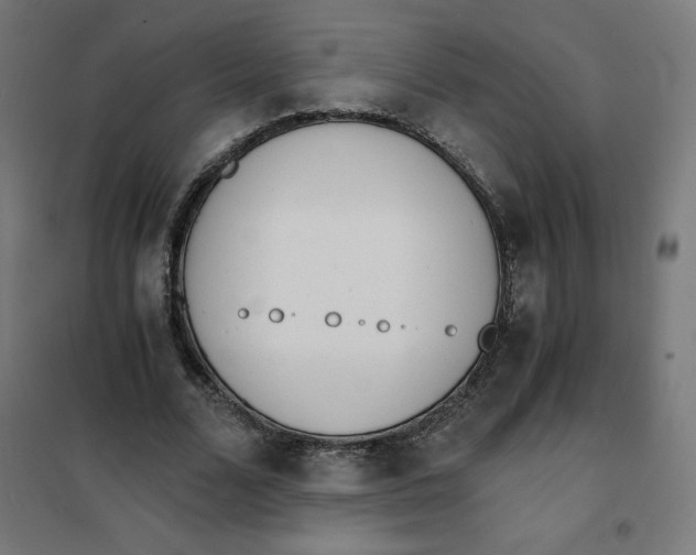 X0000101390680200807280938